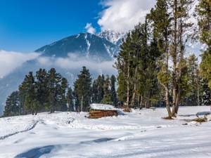 Kashmir