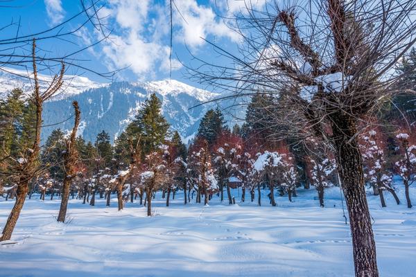 Kashmir Holiday Packages India