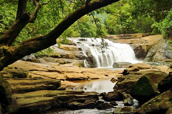 Kerala Honeymoon Tour Packages