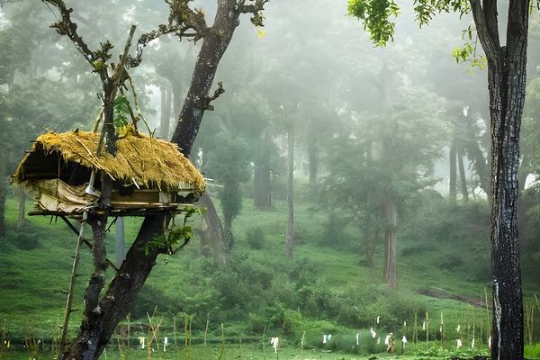 Kerala Tourism Package